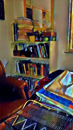 Nikki - pic2 - bookshelf